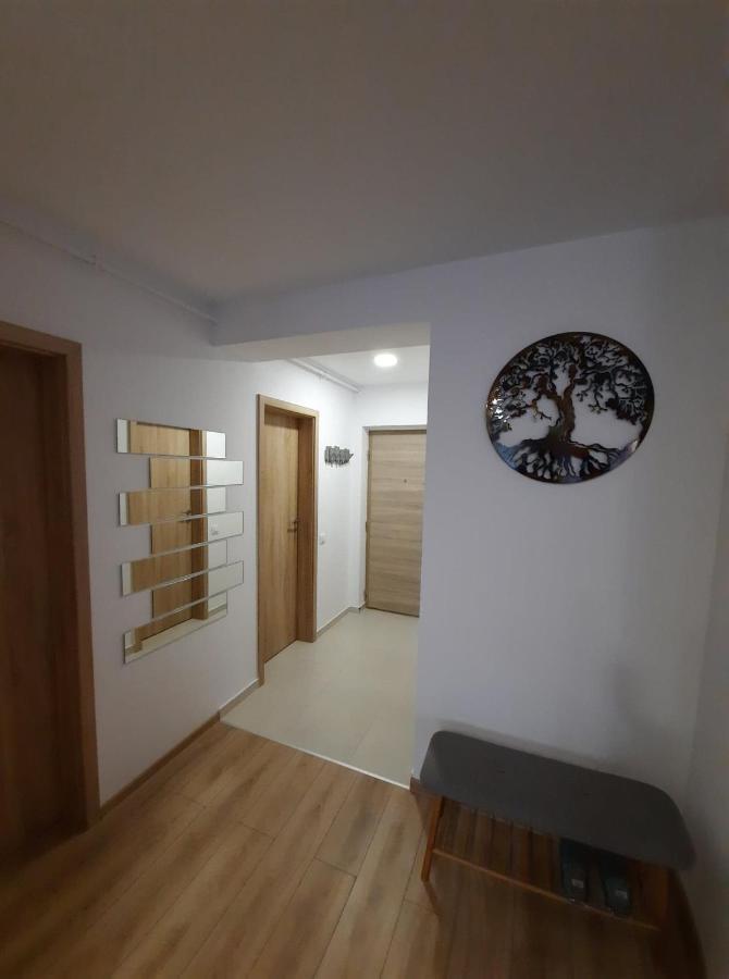 Sorin'S Comfortable Apartment 브라쇼브 외부 사진